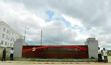 柳州ZNLRY-2005智能漢字量熱議現場(chǎng)照片